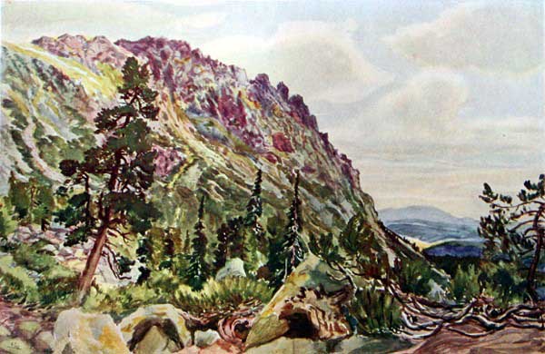 [Akwarela Otakara tfla]