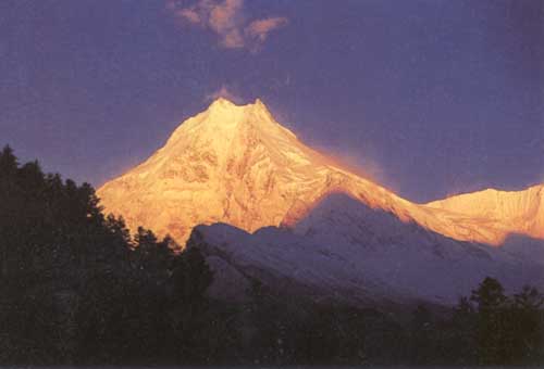 [Manaslu]